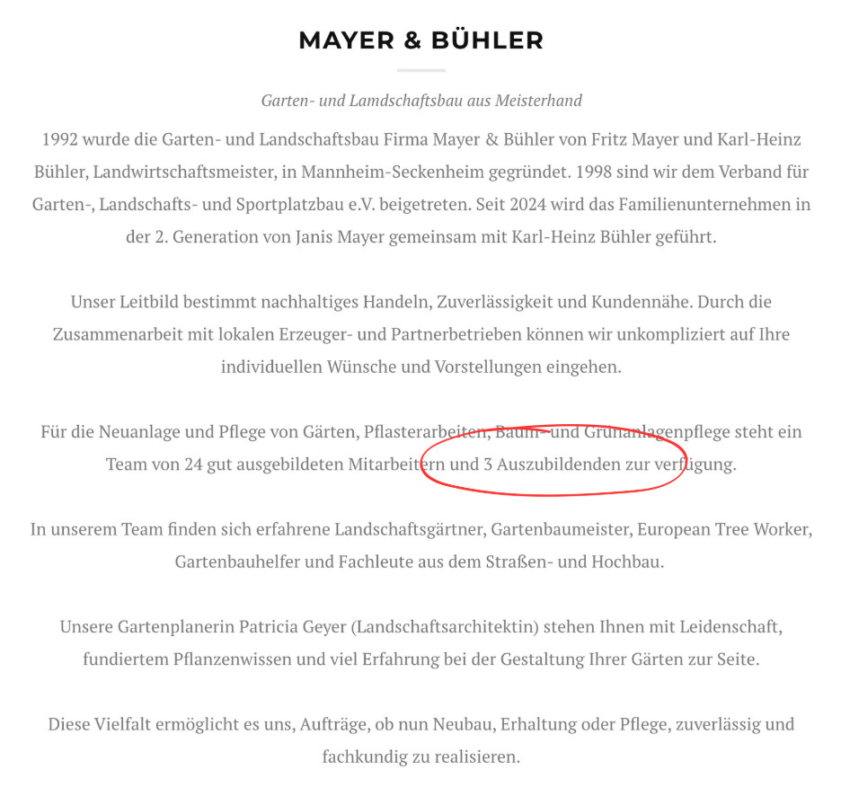 Screenshot Das Team von Mayer & Bühler